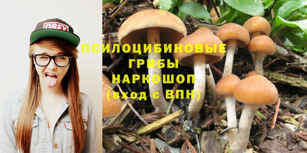 кокс Алексеевка